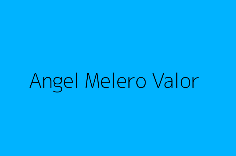 Angel Melero Valor